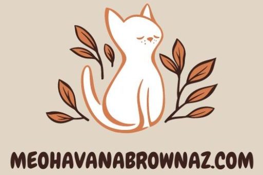 MEOHAVANABROWNAZ.COM